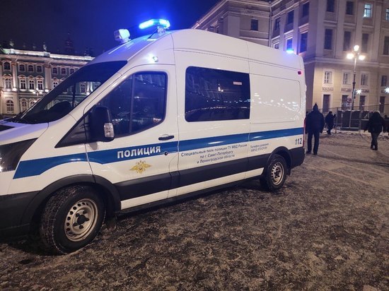 В Петербурге задержали прострелившего петербуржцу ногу на Брюсовской улице
