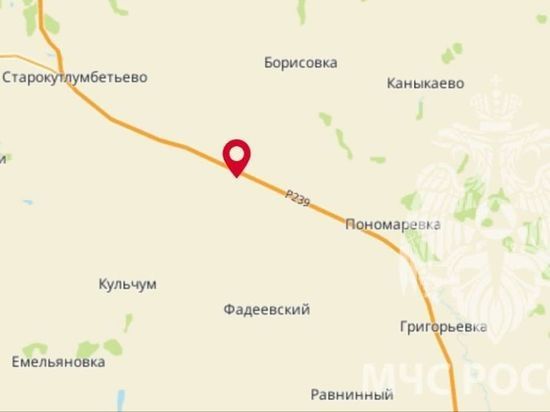 В Пономаревском районе на трассе застряли взрослый и трое детей