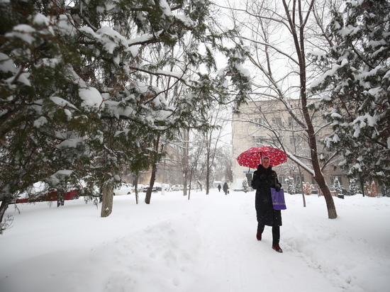 В начале недели в Волгоградскую область вернется долгожданный снег