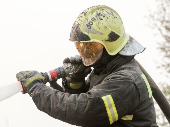 В Кемерове задержали пожарного инспектора, проверявшего сгоревший приют