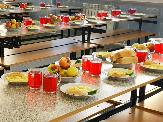 Более 400 проверок питания в школах и детсадах провели в Подмосковье в этом году