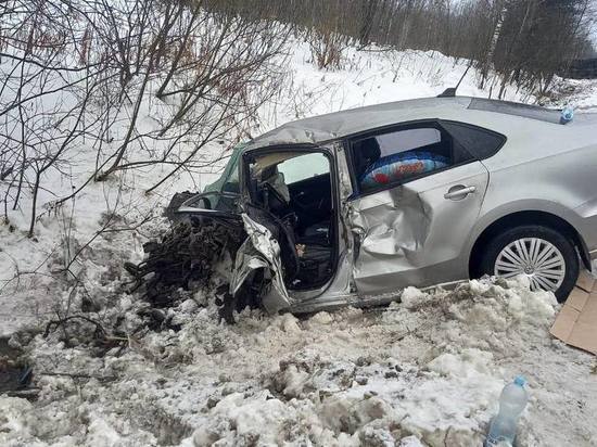 В Новгородской области за прошедшие выходные в ДТП погибли 2 человека