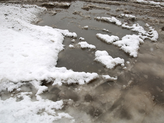 Оттепель и слякоть прогнозируются в последние дни года в Подмосковье