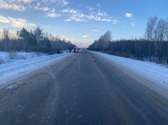 В Омске ищут скрывшего с места смертельной аварии водителя грузовика