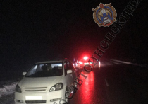 В минувшую субботу, вечером 24 декабря, на 19-ом километре автодороги "Быковка - Богородицк" Киреевского района Тульской области, 34-летний водитель автомобиля марки "Toyota Ipsum" сбил 42-летнего мужчину