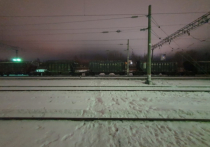В Карелии 13-летняя школьница погибла на крыше товарного поезда от удара током