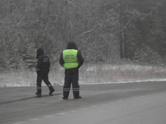 За незаконную рубку елей в полиции Казани составлено 30 протоколов