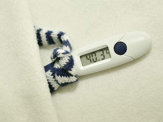В Белгородской области приостановился резкий рост заболеваемости гриппом