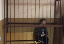 По ходатайству следователя СУ СК России по Тульской области мужчина, обвиняемый в совершении убийства, заключён под стражу