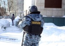 Владимир Путин своим указом увеличил численность Федеральной службы судебных приставов