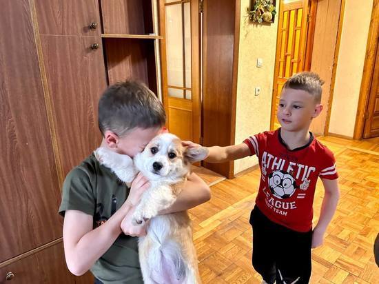 Вячеслав Гладков подарил щенка корги семье, пострадавшей при обстреле Белгорода