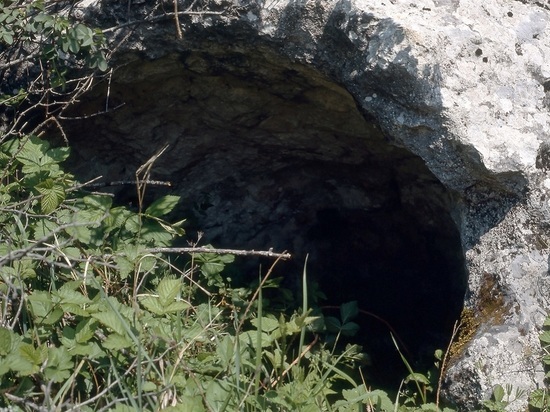 В Дагестане нашли сырье для взрывчатки, спрятанное 8 лет назад