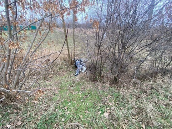 В Абинском районе мотоциклист влетел в дерево, его пассажир погиб