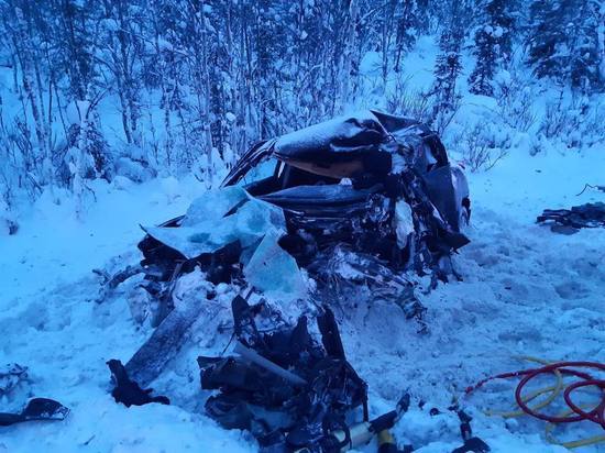 В ДТП под Полярными Зорями погибла женщина