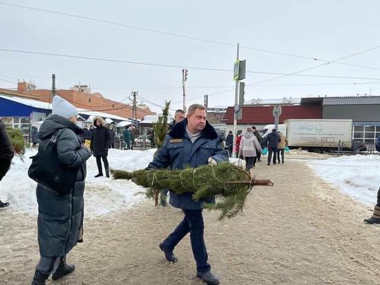 В Казани за день забрали у незаконных торговцев 119 елок