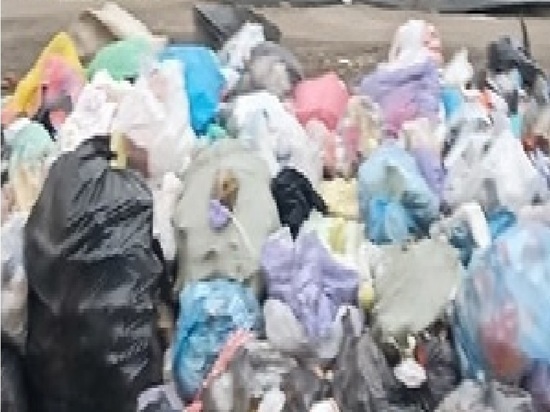 Жители Кувандыка жалуются на мусор на улицах
