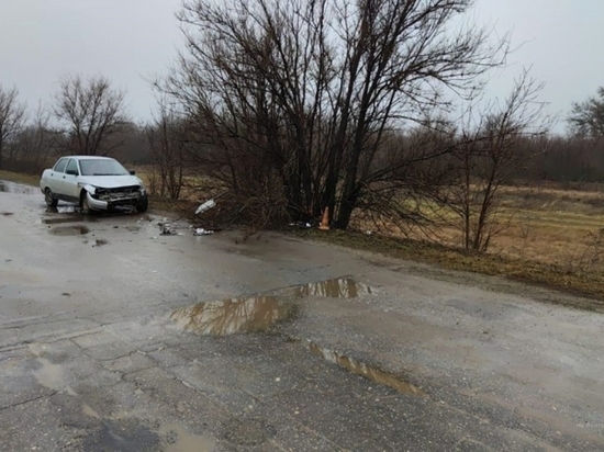 В Волгоградской области водитель легковушки врезался в дерево