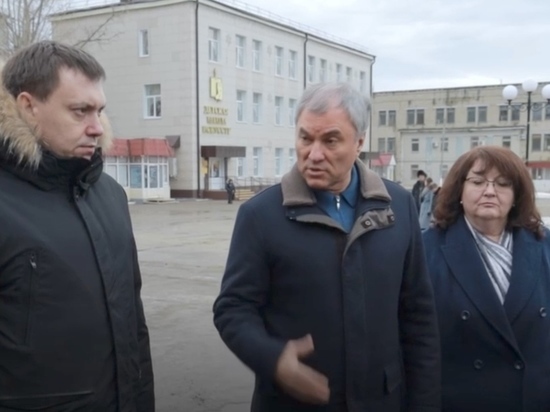 "Не занимайтесь очковтирательством»: Володин остался недоволен ходом ремонта ДК в ЗАТО Светлый