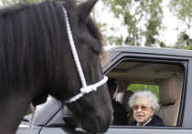 В Великобритании в канун Рождества умер любимый жеребец покойной королевы Елизаветы II, пишет The Daily Mail