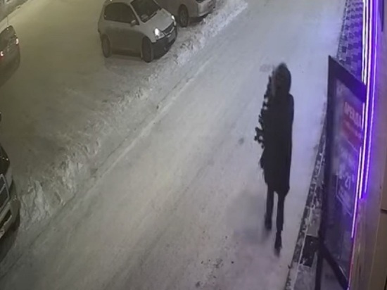 Новокузнечанин похитил из людного помещения елку ради создания новогоднего настроения