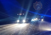 Накануне, вечером 26 декабря, на 297-ом километре автодороги М-2 "Крым" Чернского района Тульской области, 69-летний мужчина за рулём автомобиля марки "Hyundai Solaris" врезался во встречный "Renault Premium"
