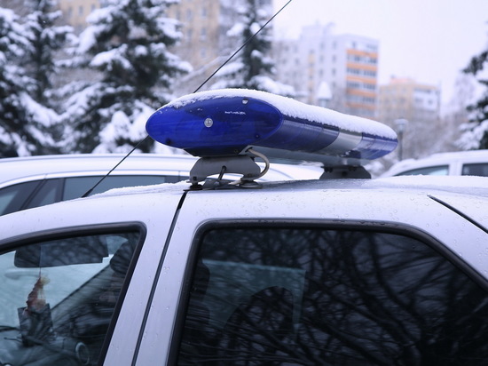 Пожилую женщину нашли убитой в квартире в подмосковных Луховицах