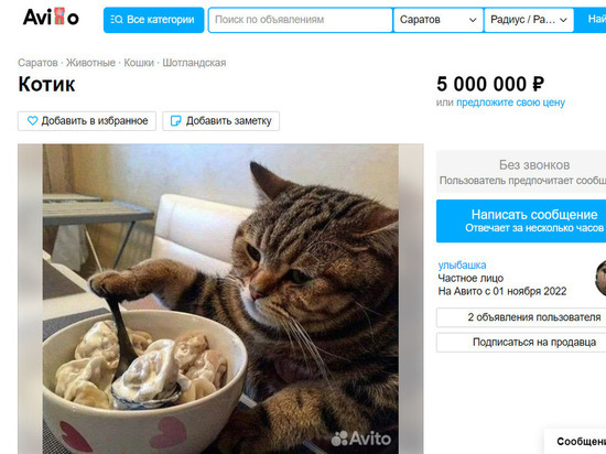 В Саратове продают кота за 5 миллионов рублей