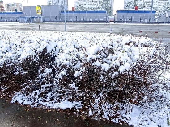 Ночью 28 декабря в Оренбуржье прогнозируется небольшой снег