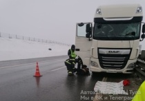 В минувший четверг, утром 22 декабря, на 293-м километре автодороги М-4 "Дон" Ефремовского района Тульской области, погиб 53-летний водитель грузового автомобиля марки "DAF"