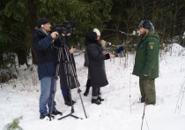 Данковское участковое лесничество посетили представители средств массовой информации городского округа Серпухов