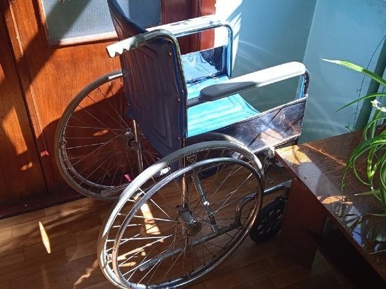 Медики ДНР обучатся реабилитации детей-инвалидов у специалистов из РФ