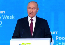 Президент России Владимир Путин подписал во вторник указ, в котором перечислены ответные меры на введение Западом лимита цен на нефть из РФ