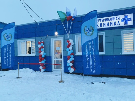В Сумино открыли новую ветклинику за 6 млн рублей
