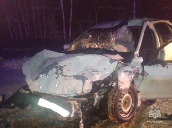 Несколько человек пострадали в ДТП на трассе в Калужской области