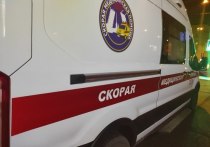 На территории городской больницы на улице Костюшко в Петербурге нашли труп окоченевшей женщины. Инцидент произошел утром 27 декабря.
