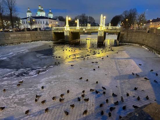 Плюсовая температура вернется Петербург 28 декабря