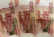 39-летняя жительница Джанкойского района Крыма задолжала полмиллиона рублей алиментов