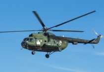 В пресс-службе минобороны РФ рассказали о работы вертолетов Ми-35 и Ми-28 в ходе специальной операции на Украине