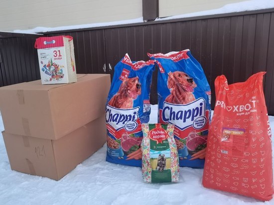 Ямальские депутаты поздравили с Новым годом бездомных животных Салехарда