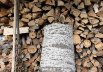 Жители Франции с 27 декабря начали получать талоны на дрова на суммы от 50 до 200 евро из-за существенного роста цен на электроэнергию