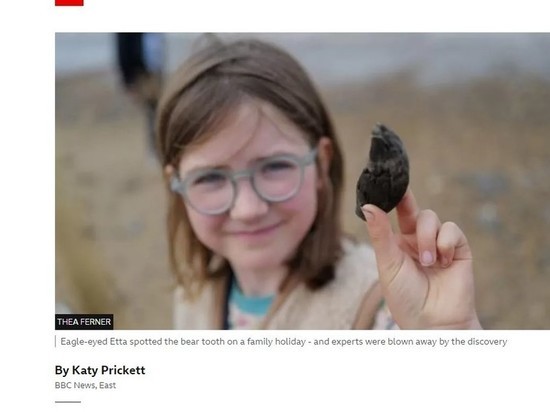 Девятилетняя девочка обнаружила 700-тысячелетний медвежий зуб