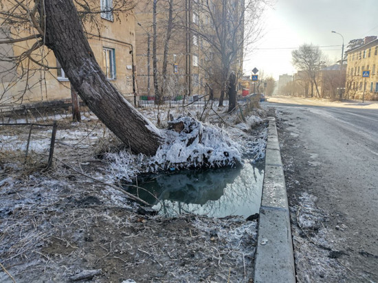 Вода из канализации разлилась на улице Нечаева в Чите