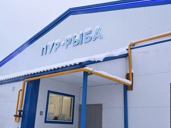 В Тарко-Сале при поддержке губернатора расширили площадь завода «Пур рыба»