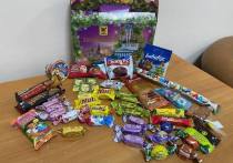 В Забайкальском крае 48 тысяч детей получат сладкий подарок от главы региона Александра Осипова, в котором собрали 800 грамм конфет, сообщили 28 декабря «АиФ-Забайкалье»