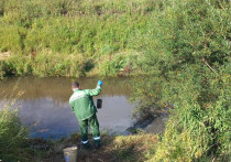 В Красноярском крае оштрафовали компанию «Ужурское ЖКХ», которая загрязнила реку фосфатами и сероводородом