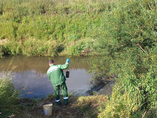Компанию из Красноярского края оштрафовали за загрязнение реки Ужур фосфатами и сероводородом