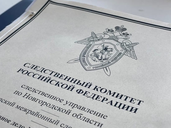В Великом Новгороде задержан мужчина за убийство двух женщин 23 года назад