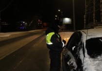 С 29 декабря по 7 января сотрудники полиции проведут в Марий Эл операцию «Нетрезвый водитель».