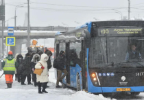 Новые тарифы на проезд в общественном транспорте утвердили в Московской области