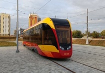 Власти Екатеринбурга планируют ликвидировать трамвайную линию по улице Татищева от улицы Викулова до остановки «Зеленый остров»
